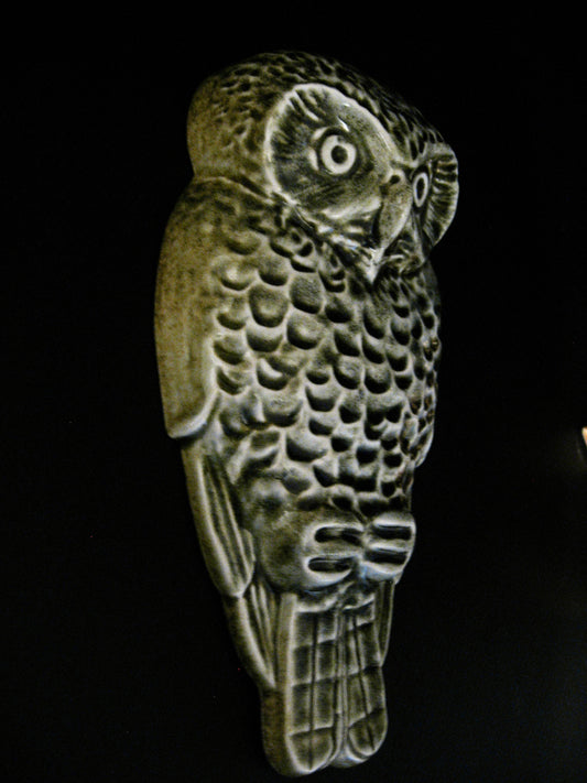 Ceramic Ruru (Owl) by Bob Steiner (soda green sand)